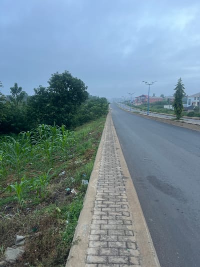 The image depicts a street scene in Offatedo, Nigeria on an overcast day. The road is asphalt, slightly damp, and stretches into the distance, lined with a concrete curb and a brick-patterned sidewalk on the right. Beyond the sidewalk, vegetation including grasses, small trees, and what appears to be corn are visible. Scattered litter is present in the vegetation near the sidewalk. Streetlights are spaced along the left side of the road. In the background are buildings, some residential. The sky is overcast and a dense mist hangs in the air. There are no people visible in the scene.