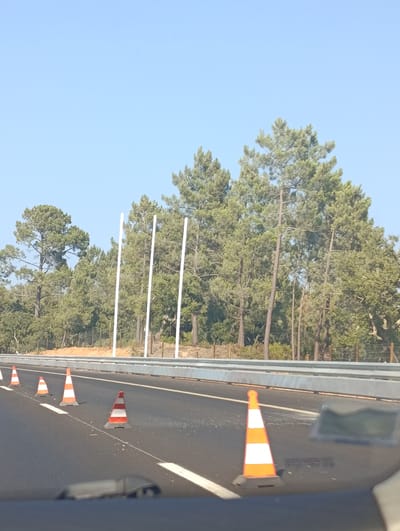 The image depicts a section of a road with traffic cones. In the foreground, an asphalt road is visible with white lane markings and several orange and white striped traffic cones placed at intervals. The cones are used to delineate a lane or a closure. In the background, a metal guardrail runs along the side of the road. Beyond the guardrail, there is a dirt embankment and a dense forest of pine trees. Three tall, slender white poles are also visible amongst the trees, standing vertically. The sky is clear and blue. The scene suggests a road construction or maintenance area, or a temporary traffic diversion, likely on a highway or major road within the municipality of Santiago do Cacém, Portugal, given the presence of pine forests characteristic of the region. There are no people visible in the image.