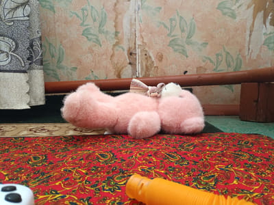A pink plush toy teddy bear lies on its side on a red patterned rug. The teddy bear has a small, sparkly pink bow on its head and is fluffy. Behind the teddy bear, a wooden rod runs horizontally across the image, and a floral wallpaper with large pink and green flowers is visible on the wall. To the left of the teddy bear, a portion of a grey and white patterned fabric is visible. In the foreground, the red rug has a paisley-like pattern in yellow, blue, and green. Part of a white object with two black buttons is on the left edge of the rug, and an orange, ribbed tube is in the bottom right corner. The scene appears to be indoors, likely in a room with a slightly worn aesthetic, suggesting a lived-in space. The lighting is diffused, indicating it could be daytime, but there are no strong shadows. The overall impression is one of a quiet, perhaps playtime scene, focused on the toy.