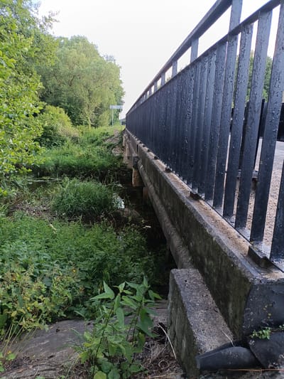 This is a photo of a bridge over a small, overgrown stream. The bridge has a concrete structure and a black metal railing with vertical bars. The railing is weathered, with peeling paint. The stream banks are covered in lush green vegetation, including tall grasses and leafy plants. Trees with dense green foliage line the stream and the embankment leading up to the bridge. The sky is overcast, suggesting it is a cloudy day. The overall scene is natural and somewhat wild, with the man-made bridge contrasting with the surrounding greenery. There are no people visible in the image. The time of day appears to be daytime, based on the lighting. There is no visible text in the image.