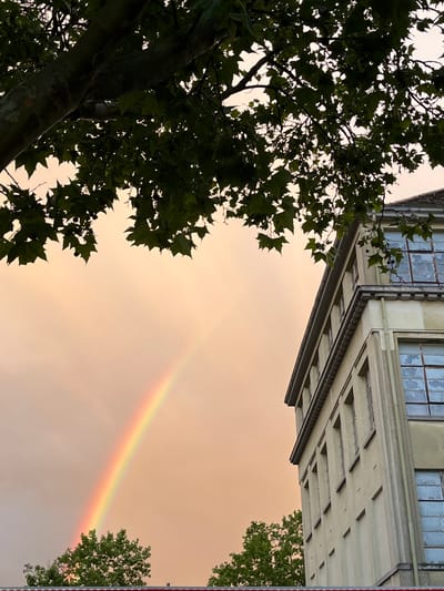 An outdoor, low-angle photograph captures a vibrant rainbow stretching across a warm, pale orange sky. The sky's hue suggests either a sunset/sunrise or specific atmospheric conditions, likely after a rain shower, given the presence of the rainbow in Landau in der Pfalz, Germany.

In the foreground, a large, dark green tree, possibly a plane tree, dominates the left side of the frame. Its dense foliage and branches are silhouetted against the bright sky, with some dark, spherical fruits visible among the leaves. A portion of another green tree is visible on the far right.

On the right side of the image, a light-colored, multi-story building stands tall, viewed from below. Its architecture features classical or early 20th-century elements, including prominent window frames and horizontal cornices. Several large windows are visible, their panes appearing grimy or reflective, showing muted light or reflections. Below the upper set of windows, the building facade has structured horizontal and recessed elements.

The rainbow, with its distinct red, orange, yellow, and green bands, stretches diagonally across the upper middle of the sky, creating a focal point of natural beauty against the urban backdrop and warm atmospheric light. The scene blends natural and man-made elements under a unique sky. There is no visible text.