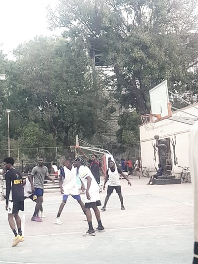 The image captures an outdoor basketball game or practice session under bright daylight. The primary focus is on several men actively engaged on a light-colored basketball court. The image is oriented vertically, showing the players standing upright on the court.
In the foreground and midground, there are at least six men in various basketball stances. The closest player to the viewer, on the left, wears a dark long-sleeved shirt with the word "ALBORZ" clearly visible on the back, dark shorts, and yellow shoes. He is in a ready position, looking towards his left. Next to him, another player in a grey t-shirt, blue shorts, and purple shoes is also poised for action. Further into the court, a player in a white t-shirt and dark shorts appears to be reaching for or dribbling a basketball. Another player in a white t-shirt and dark shorts is seen facing left, leaning forward. Towards the back of the group of active players, one man in a white t-shirt is looking left.
Near the basketball hoop, an athlete in a dark uniform is captured mid-air, jumping to shoot a basketball towards the hoop. The basketball is visible near his hands, just below the rim. The basketball hoop has a white rectangular backboard and an orange rim with a net. Behind the hoop, there is a low wall or structure with a mural or painting depicting dark silhouettes of basketball players in action. Some text is partially visible on the backboard support structure, though not entirely decipherable.
The court itself is light-colored, possibly concrete or asphalt, with some court lines visible. In the background, lush green trees with dense foliage dominate the left side of the frame, indicating an outdoor setting. There are hints of other structures or fences through the trees. The overall impression is one of an energetic and focused basketball game or practice taking place outdoors.