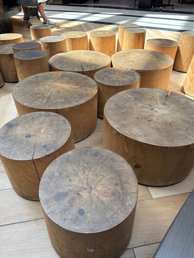 The image shows a vertical view of a wall constructed from large, horizontal wooden logs. The logs are of varying diameters and are stacked closely together, creating a textured, naturalistic surface. The grain of the wood is visible, with some logs showing prominent rings and a weathered appearance. The light source appears to be from the left, casting shadows and highlighting the texture of the wood.
In the lower left corner, a person's legs and feet are visible, wearing casual clothing including shorts and sneakers. The person is seated, with their legs extended towards the log wall. The background consists of a tiled floor and part of a dark structure, possibly furniture or a wall, to the left. The overall setting appears to be indoors, possibly in a public space or a modern building with natural material elements, given the clean tiling and the construction of the log wall. There are no overt indications of time of day or weather, but the lighting suggests it is daytime. The mood is relaxed and casual, due to the presence of the person and the natural, earthy tones of the wood. There is faint text visible on the person's shorts, which appears to read "THE STING". The location context of Leidschendam, Netherlands, implies this could be a public seating area or decorative feature in a shopping center, park, or other urban space.