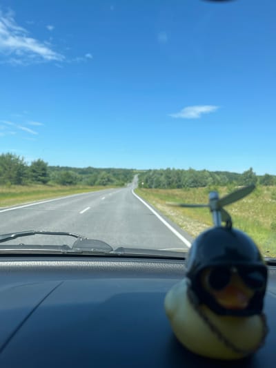 The media file captures a perspective from inside a vehicle, looking out through the windshield. The primary subjects are a toy rubber duck wearing sunglasses and a propeller attached to a mount, both positioned on the dashboard. The scene is a straight, empty asphalt road stretching into the distance, flanked by lush green trees and grassy fields. The sky is a vibrant blue with scattered white clouds, indicating a clear, sunny day, likely mid-morning or early afternoon.
The overall impression is one of travel and a leisurely road trip. The toy duck with sunglasses adds a whimsical and lighthearted touch, suggesting a sense of fun or adventure. The propeller might be a decorative element or part of a fan, but its presence, along with the duck, contributes to the playful atmosphere.
The setting appears to be rural or semi-rural, given the absence of other vehicles and the abundance of natural landscape. The road itself is well-maintained, with white dashed lines marking the lanes. The time of day is evident from the bright sunlight casting shadows and illuminating the scene. The weather is clearly favorable for driving and enjoying the scenery.
There is no visible text in the media file. The emotional tone conveyed is one of pleasant travel and carefree enjoyment. The focus is on the journey and the simple, cheerful companionship of the toy duck. The location context of Kukshumy, Russia, places this scene in a specific geographical area, implying a drive through the Russian countryside.