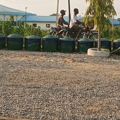 This image depicts an outdoor scene in Koko, Nigeria, captured during daylight. The foreground consists of a light brown and grey gravel surface. Spanning the middle ground is a linear arrangement of at least seven uniform, barrel-like objects, each painted dark green with a dark blue band around its upper perimeter. To the right of this line of barrels, a small tree with green leaves grows from a circular, light-colored concrete planter.
In the background, two male individuals are observed riding a motorcycle from right to left. The driver wears a light-colored short-sleeved shirt and dark trousers. The passenger, seated behind the driver, is shirtless, wears dark trousers, and a dark baseball cap. The motorcycle is dark with metallic accents. Behind the individuals and barrels, a dense line of green foliage is visible. Further in the distance, a light-colored building with a distinctive light blue gabled roof is partially obscured by vegetation. Utility poles are present, extending vertically against a hazy, light-colored sky.
