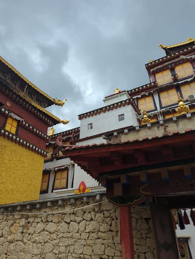 This is a low-angle, vertical shot of a vibrant temple structure in Shangri-La, China. The architecture is ornate, with red and yellow painted walls, elaborate gold trim along the rooftops, and decorative motifs. Several windows with yellow coverings are visible, and some buildings feature white walls and red-framed windows. Small, golden animal figurines adorn the peaks of the roofs. The background is a cloudy, overcast sky. The stone wall of another building is visible on the right side of the image, constructed with irregular, light-colored stones. The overall impression is one of religious architecture and cultural richness, under a muted sky.
