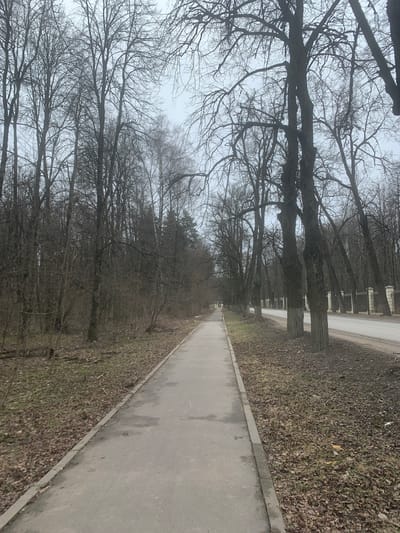 The image depicts a pathway lined with bare trees, likely in early spring or late autumn, given the lack of foliage. The pathway is paved and appears to be damp, possibly from recent rain. Adjacent to the pathway is an area covered in fallen leaves and dead vegetation. The trees form a canopy overhead, their branches interweaving and creating a dense network against a grey sky. In the distance, the pathway appears to converge, suggesting depth. The scene's location is the city of Arkhangel'skoe, Russia.