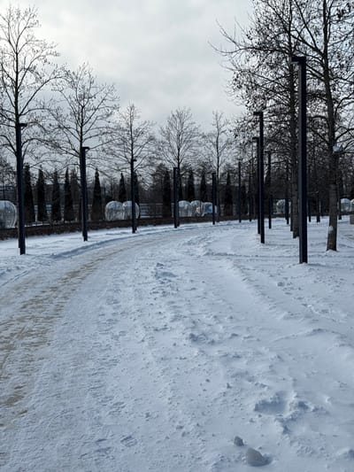 The image displays an outdoor scene in the city of Plodorodny, Russia, under an overcast sky. The ground is extensively covered in snow. A partially cleared, paved pathway, exhibiting a light snow dusting and some bare patches, runs along the left side of the foreground and extends into the mid-ground. To the right of this path, the ground is completely covered in undisturbed, textured snow with small drifts.
Rows of bare deciduous trees with dark trunks and branches line both sides of the scene, extending into the background. Interspersed among these trees are numerous tall, dark, rectangular streetlights, positioned equidistantly along the pathway. In the mid-ground, behind the deciduous trees and streetlights on the left, a row of dark, conical evergreen trees is visible.
Behind the row of evergreens and lights on the left, approximately eight transparent, dome-shaped structures are present, arranged linearly. These structures appear empty. Fainter, similar dome structures are discernible further in the background on the right side of the scene. No individuals or discernible activity are present.