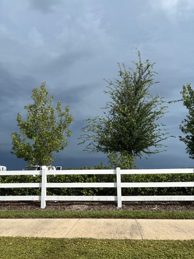 The image depicts a suburban scene in Sarasota, United States, featuring a white post-and-rail fence running horizontally across the frame. Behind the fence, a dense green hedge is visible, with several trees of varying sizes rising above it. The trees have green foliage, and the sky above is overcast with dark, heavy clouds, suggesting impending rain or a storm. In the background, the tops of some white vehicles can be seen, partially obscured by the trees and fence. In the foreground, a concrete sidewalk is present, bordering a strip of green grass. The overall impression is one of a well-maintained residential area under a dramatic sky.