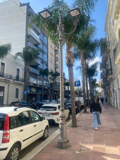 The image depicts a daytime street scene in Brindisi, Italy, characterized by a mix of urban architecture and tropical foliage under a clear blue sky with scattered white clouds.
In the foreground, a tall, ornate grey metal lamppost with two luminaires stands centrally on a reddish-brown tiled sidewalk. To the immediate left, the rear and side of a white Fiat Panda are visible, parked parallel to the curb. Behind it, a white BMW 1-Series hatchback (Italian license plate GP 741 NB) is also parked. A row of vehicles is parked along the left side of the street, including a dark SUV and several other cars. A blue square sign with a white 'P' (indicating parking) is visible further down the street on the left.
Numerous tall palm trees with green fronds line the right side of the sidewalk and the street, casting partial shadows. A pedestrian, seen from behind, walks away from the viewer on the right side of the sidewalk. This individual wears a dark long-sleeved top or jacket and light blue, loose-fitting pants, with white shoes.
The street extends into the background, where more parked cars and several pedestrians are visible. Buildings frame both sides of the street. On the left, multi-story buildings display a mix of light grey and blue facades with balconies. One building has several balconies with white railings. On the right, multi-story buildings feature more classic architectural details, including decorative cornices and balconies. Suspended decorative elements, possibly holiday lights or ornaments (one resembling a large snowflake or star), are visible strung across the street in the mid-distance. Another blue square 'P' sign is visible further down the right side of the street, near a tree. A white square sign with a red diagonal line through a 'P' (no parking) is also visible on the left side of the street near the Fiat Panda.