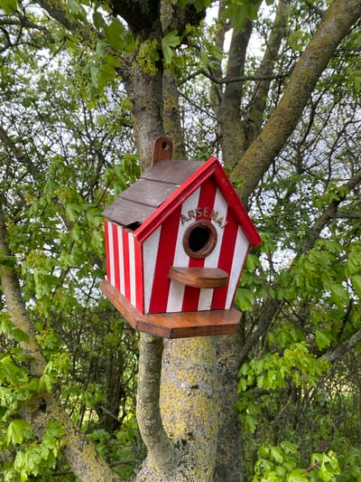 A birdhouse is mounted on a tree branch. The birdhouse is painted with red and white stripes and has "ARSENAL" inscribed around the entrance hole. The tree is surrounded by green leaves and branches. The photograph was taken in the Breckland District, United Kingdom.