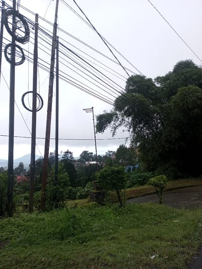 The image depicts a hillside view in Deothang, Bhutan, under an overcast sky. In the immediate foreground, a patch of green grass transitions into a dark asphalt or dirt road that curves downwards to the right. To the left, a cluster of utility poles stands vertically; at least four are clearly visible. Two of these poles are laden with multiple large coils of black cable, likely electrical or communication lines. Numerous black utility wires stretch horizontally and diagonally across the upper frame, originating from these poles.
In the mid-ground, a dense stand of dark green bamboo trees occupies the right side of the frame, partially obscuring the sky. Another tall, slender utility pole with a distinctive horizontal crossbar structure at its top is positioned centrally within the greenery. Below the visible road, a valley extends, densely covered in various green trees. Scattered among the foliage are multiple buildings with visible roofs in colors such as red, white, and blue, indicating residential or commercial structures.
Further in the background, additional hills or mountains are visible under the uniformly gray, cloudy sky. No individuals or animals are present in the scene. The overall environment suggests a semi-urban or rural mountainous setting.