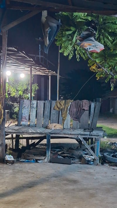 An outdoor scene is depicted at night in the city of Beurandang, Indonesia. A wooden bench with a weathered appearance is positioned under a rustic overhead structure. A ginger-colored cat is curled up asleep on the bench. Several pieces of clothing are hanging on the back of the bench, obscuring some of the wooden planks. The area beneath the bench is cluttered with various objects, including what appear to be discarded parts and materials. In the background, trees with dense foliage are visible, and artificial lights illuminate the scene from above. The ground in front of the bench is a concrete or dirt surface.