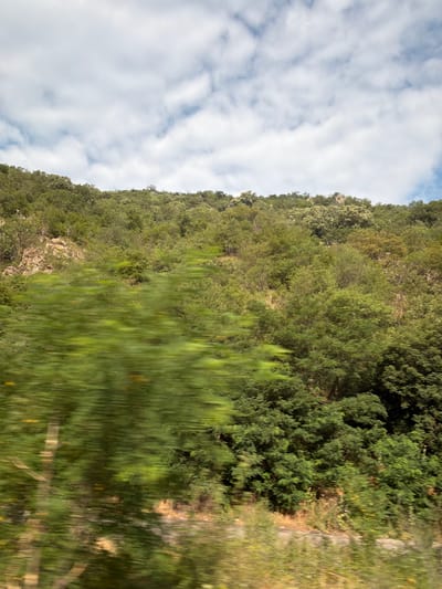 This media file shows a blurry view of a forested hillside with a cloudy sky. The image is oriented vertically, suggesting it may have been taken from a moving vehicle.

The primary subjects are the natural elements of the scene: lush green trees and vegetation covering a rocky slope, and a sky filled with white, fluffy clouds. The trees appear to be a mix of deciduous and coniferous species, with a dense canopy. The ground visible is uneven and rocky in places, interspersed with greenery.

The blurriness indicates motion, suggesting the photographer was likely in transit while capturing the image. No people or man-made objects are clearly discernible. The lighting suggests it is daytime, likely overcast given the prevalence of clouds, but without direct sunlight. There are no clear indications of the specific time of day beyond daylight hours. The location context provided is Mechkul, Bulgaria, which contextualizes the type of vegetation and landscape shown as possibly typical of mountainous or hilly regions in that area. No text is visible in the image.
