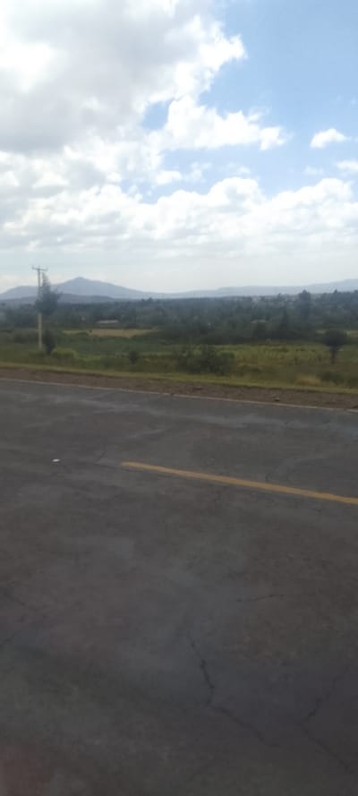 The image depicts a rural landscape within Hells Gate ward, Kenya, under a partially cloudy sky. In the foreground, a gray asphalt road occupies the lower portion of the frame, showing visible cracks and a solid yellow line extending horizontally across its surface, slightly right of center. Immediately beyond the road is a narrow strip of dry, light-brown earth, followed by an expanse of green and brown vegetation, including grass, shrubs, and scattered trees. A wooden utility pole with a single crossarm is visible on the left side of the midground, supporting overhead lines. Further into the midground, the terrain appears cultivated or naturally vegetated, stretching towards a distant tree line and faint, undulating hills or mountains. The background consists of a horizon featuring indistinct geological formations under a sky displaying a mixture of white cumulus clouds and patches of clear blue sky. No individuals, animals, or specific actions are discernible within the frame.