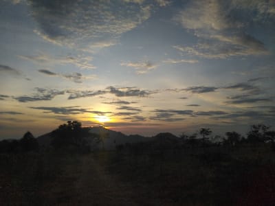 This image depicts a natural landscape at either sunrise or sunset, situated in Trondheim, Norway. The sky, occupying approximately the upper two-thirds of the frame, features a low-lying sun near the center-right horizon, radiating strong yellow and orange light. Scattered cumulus clouds are present across the sky, displaying a range of grey, white, and warm hues where illuminated by the sun, against a pale blue-grey upper atmosphere. The horizon is defined by a dark silhouette of multiple rolling hills or mountains. In the midground, a dense line of trees forms a dark, irregular silhouette against the brighter sky, with individual tree crowns discernible. The foreground, occupying the lower third of the image, consists of dark, uneven ground covered with sparse, low-lying vegetation. A faint, lighter-toned path or clearing appears to traverse the lower-center foreground. No individuals, man-made structures, or specific activities are visible.