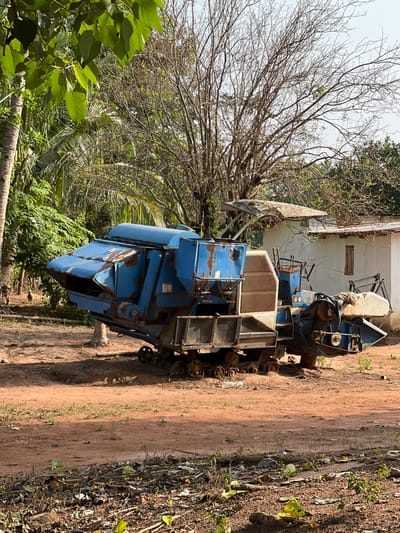 In Logba Adzakoe, Ghana, a large, blue, heavily rusted and weathered tracked agricultural combine harvester is stationary on a reddish-brown dirt clearing. The machine exhibits significant corrosion, flaking paint, and mechanical components, including a slatted front and rear processing elements, mounted on caterpillar tracks partially embedded in the ground. An overhead canopy on the machine appears partially damaged. To the far left, on the ground near a tree, two small, brown ground birds, consistent with chickens, are present. In the background, a small, white, single-story building with a rusted corrugated metal roof and a single dark-framed window is visible on the right. A large, leafless deciduous tree dominates the central background, flanked by lush green foliage and palm trees. The foreground consists of sparse green vegetation and scattered organic debris. The scene is illuminated by clear daylight.