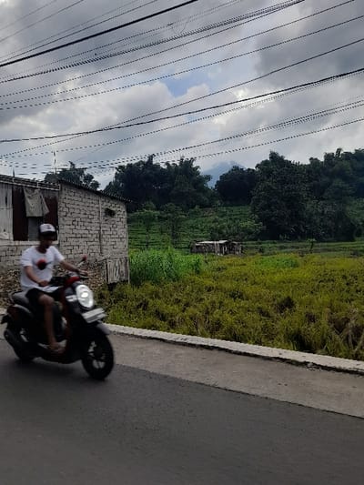 This image, captured in Kecamatan Prigen, Indonesia, presents a roadside view on a cloudy day. In the lower right foreground, an individual wearing a white t-shirt, a white cap, and dark shorts is seated on a dark-colored scooter, seemingly paused on the gray asphalt road. A concrete curb separates the road from the adjacent landscape.
To the left of the road, a vibrant expanse of green vegetation, resembling agricultural fields or rice paddies, stretches into the mid-ground. Further into the distance, a dense line of dark green trees forms a natural boundary, suggesting a forest or hilly terrain. A small, simple structure with a corrugated roof is visible amidst the greenery in the mid-ground, and closer to the foreground on the left, a building constructed from light-colored brick-like material with a corrugated metal roof is partially visible.
The upper left portion of the frame is dominated by an overcast sky, with patches of lighter clouds. Several parallel utility wires cut across the sky, adding an element of infrastructure to the natural surroundings. The scene depicts a tranquil, daytime moment in a rural or semi-rural setting, characterized by its agricultural landscape and simple structures. No visible text is present.