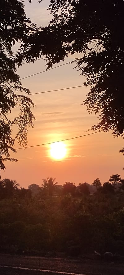 The image depicts a sunset scene in Peurupok, Indonesia, framed by the silhouetted branches of trees in the foreground. The sun, a bright, almost white orb, is low in the sky, casting a warm orange and pink glow across the horizon. Wispy clouds are visible, catching the sunlight. Below the sky, a dark silhouette of vegetation, including palm trees, stretches across the landscape. In the very foreground, a dark, blurred area suggests a road or path. The overall impression is one of a serene, natural setting at dusk.