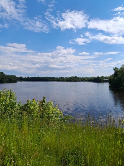 The image presents a serene natural landscape, oriented vertically, depicting a wide body of water, likely a river or canal, under a bright blue sky. The sky, occupying the upper portion of the frame, is dotted with scattered, fluffy white cumulus clouds, indicating clear and pleasant weather.
The calm water, which appears dark blue or grey, stretches horizontally across the middle of the scene and shows gentle ripples on its surface, reflecting the light. On the immediate right bank, lush green grass and dense bushes dominate the foreground, extending down to the water's edge. Some taller, reedy grasses with seed heads are visible among the foliage.
Along the opposite bank, a continuous line of trees forms a dark green treeline that extends into the distance, suggesting a forested or heavily vegetated area bordering the waterway. The scene is devoid of any visible human activity or structures, emphasizing its natural tranquility. The time of day appears to be daytime, with ample sunlight illuminating the landscape. The overall impression is one of peaceful nature. The location context provided is Sillamäe linn, Estonia. There is no visible text in the image.