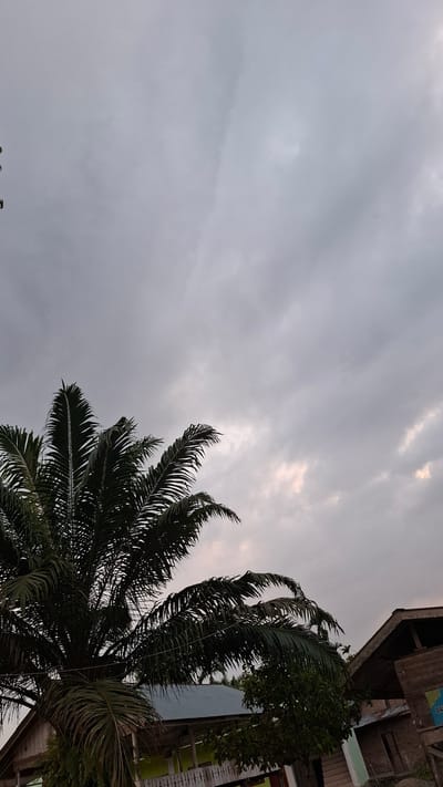 The image shows an overcast sky with palm fronds in the foreground. Two houses with simple wooden structures and metal roofs are visible behind the palm trees. The sky is a uniform gray, with some faint hints of light breaking through the clouds. The overall impression is one of a slightly gloomy or peaceful day in a tropical setting. The location is specified as Grong-grong, Indonesia.