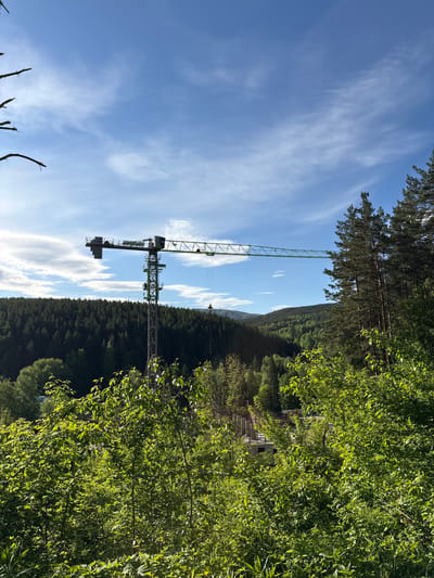 The image depicts a construction crane standing amidst a forest landscape, presumably near the city of Belokurikha, Russia. The crane is centrally positioned, rising above a dense forest. The surrounding environment consists of lush greenery and a blue sky with scattered clouds. Some bare tree branches are present in the foreground. In the background, some buildings can be seen through the trees.
