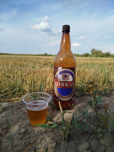 A plastic cup of light brown beer with a white foam head sits on cracked brown earth in the foreground. To the right of the cup is a large, brown glass bottle of Qibray beer with a blue and red label. The bottle is condensation-covered, suggesting it is cold. In the background, a field of dry, tan stalks stretches to the horizon under a light blue sky with scattered white clouds. The image is likely taken in a rural area, possibly on the outskirts of Qızılgunde, Uzbekistan, given the presence of the local beer brand. There are no people visible in the image, and the scene depicts a solitary moment in a natural setting.