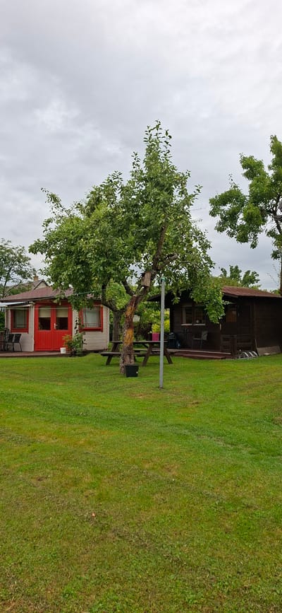 The image depicts a backyard scene with two small wooden sheds and a mature tree. The shed on the left is painted light beige with red trim around the windows and a bright red door. It has two large windows and a covered porch area with chairs. The shed on the right is a darker wood color with a sloped roof and a small covered porch. A picnic table with benches is situated between the two sheds, under the branches of a leafy green tree. The tree has a birdhouse attached to its trunk. A black bucket is visible at the base of the tree. The ground is covered in a well-maintained green lawn. In the background, more trees and glimpses of other structures are visible. The sky is overcast and cloudy. The scene appears to be a garden or backyard in a residential area. The city of Kuressaare, Estonia, is known for its charming wooden houses and lush gardens, and this scene is consistent with such an environment.