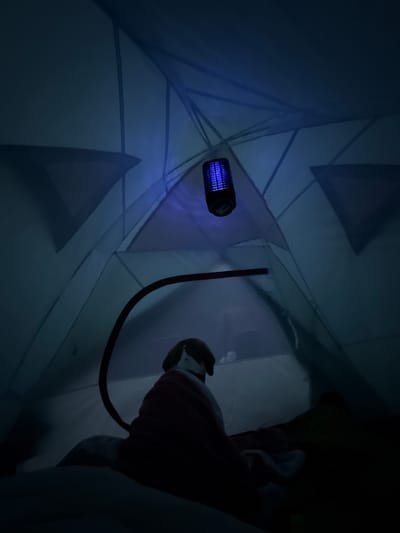 Inside a tent in Olden, Norway, a dog, wrapped in a red blanket, sits facing away from the camera. A blue mosquito repellent light hangs from the tent's ceiling. The tent is dimly lit by the blue light and appears to be set up in an outdoor environment.