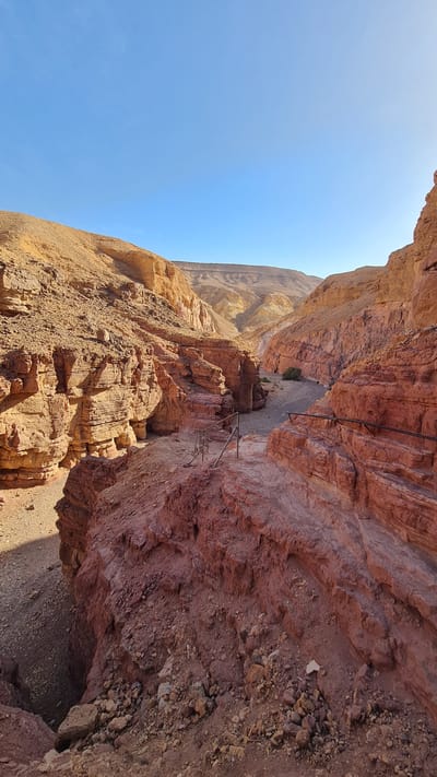 The image depicts a narrow canyon or gorge in Hevel Eilot Regional Council, Israel. The canyon walls are composed of reddish-brown rock formations. A section of the canyon has metal rungs or ladders bolted into the rock face, suggesting a climbing or hiking route. A small tree or bush grows in the canyon floor. The sky is clear blue and the sun is shining, casting shadows within the canyon. The orientation is vertical, as the blue sky is on the left.