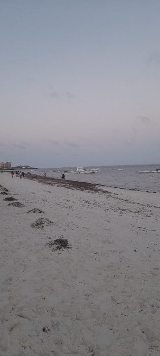 This image depicts a wide view of a sandy beach and the Indian Ocean coastline in Ziwa La Ng'ombe ward, Kenya, under conditions of subdued natural light, indicative of either dusk or dawn. The sky, occupying the upper portion of the frame, is a uniform light grey-blue with faint, dispersed cloud formations. The ocean, appearing a darker grey-blue, extends from the horizon and contains approximately eight to ten light-colored boats, which are either moored or floating in the mid-distance. The foreground and mid-ground are dominated by light-tan sand, textured with footprints and featuring multiple scattered clumps and a prominent, elongated band of dark brown seaweed running parallel to the water's edge. In the far distance, to the left, a cluster of multi-story buildings is visible along the coastline. Several human figures are present on the beach: a group of approximately five to seven individuals is observed walking on the sand in the left mid-ground, while a single, solitary figure stands closer to the water in the central mid-ground. No specific interactions or detailed actions beyond walking and standing are discernible.