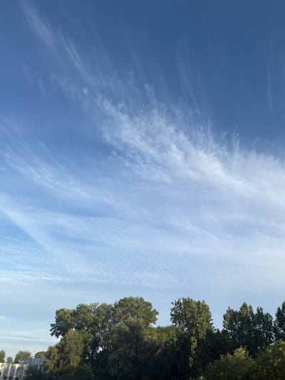 The image depicts a clear blue sky with thin, wispy cirrus clouds. A dense line of green trees forms the horizon. In the foreground, a portion of a building with a white facade and horizontal grey elements is visible on the left side, suggesting an urban or semi-urban setting. The overall scene is likely taken during daylight hours, possibly in the morning or late afternoon, given the lighting. The location is specified as Druten, Netherlands. There are no people or animals visible in the image. The environment appears to be natural with some man-made structures in the background.