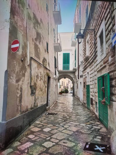 The image depicts a narrow, wet cobblestone alleyway in an old European city. The buildings lining the alley are constructed from stone and plaster, with weathered facades displaying peeling paint. On the left, a building has a red and white circular "no entry" sign. Green shutters are visible on windows and doors of the buildings. An arched passageway is visible further down the alley, leading to an area with more buildings and a car. A person's arm and shoulder are visible leaning out of a green-shuttered window on the right. The sky is a bright, clear blue. The overall impression is of a historic urban environment that appears to have recently experienced rain, given the wet pavement and reflections. This scene is not located in Zrenjanin, Serbia.