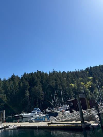 The image shows a marina in Bowen Island Municipality, Canada. Boats are docked along a concrete pier adjacent to a dense evergreen forest. The sky is clear and blue.