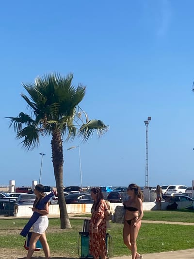 The image captures a sunny day scene near a beach parking lot in Conil De La Frontera, Spain. A tall palm tree with dark brown bark and green fronds is prominently featured in the mid-ground, to the left of center. In the foreground, three women are visible. The woman on the far left wears a dark blue top and white shorts, carrying a long, dark blue object and a red and blue bag. The middle woman is dressed in a red and white floral print dress and is pushing a teal cart. The woman on the far right wears a black bikini. Behind them, a vast parking lot filled with various cars is visible, with some of the vehicles appearing to be parked on a slightly elevated area. The background consists of a clear blue sky with faint wisps of clouds and distant structures, including lamp posts. The ground is a mix of sand and grass.