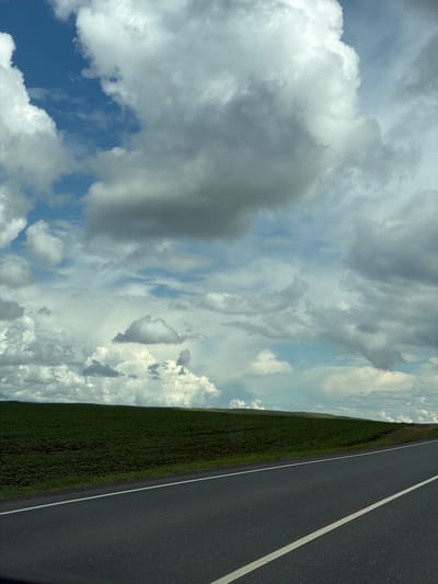 The image captures a rural landscape under a dramatic sky filled with cumulonimbus clouds. In the foreground, a dark asphalt road with a white line marking the edge curves gently to the right. To the left of the road, a vast, dark green field stretches towards rolling hills. The field appears to be cultivated, possibly with crops such as potatoes or other low-lying vegetation, based on its dense and uniform texture. The horizon is marked by the undulating outline of these hills, which are covered in the same green vegetation. The sky above is a dynamic display of white and grey clouds against patches of blue sky, suggesting a mix of sun and impending rain. The overall impression is one of natural grandeur and the vastness of the countryside. There are no people or animals visible in the scene. The location is identified as Ostrovnoye, Russia, implying a vast agricultural region common in the Russian countryside.