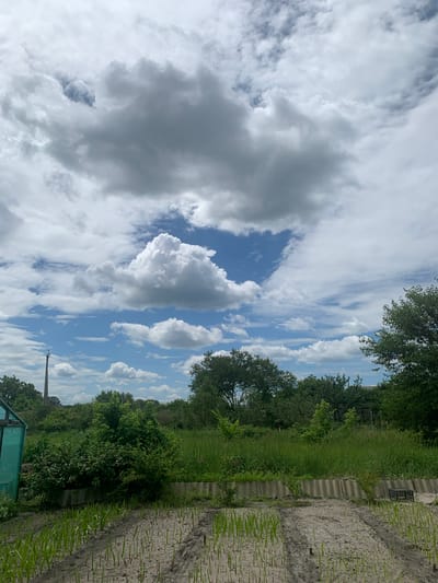 The media file depicts an outdoor scene on a cloudy day in Pokotylivka, Ukraine. The composition is dominated by a vast sky filled with a mix of white and grey clouds against a bright blue backdrop. The clouds are varied in shape and density, with some appearing puffy and cumulus-like, while others are more wispy and spread out.

The lower portion of the image reveals a landscape characterized by lush greenery and a textured ground surface. Trees with dense foliage line the horizon, indicating a natural or semi-rural environment. A pathway or cleared area is visible, marked by a series of concrete blocks or similar structures, and the ground appears to be a mixture of soil and sand with some sparse vegetation. A small, green structure, possibly a greenhouse, is partially visible at the bottom edge of the frame.

There are no people or specific objects of interest immediately apparent, nor is any activity or event clearly taking place. The scene conveys a sense of natural ambiance, possibly hinting at a garden, park, or undeveloped land. The lighting suggests it is daytime, though the cloud cover likely diffuses direct sunlight. The overall mood is serene and natural. No text is visible in the image.