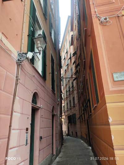 A narrow alleyway is depicted in Camogli, Italy, with tall, colorful buildings on either side. The buildings are painted in hues of pink, orange, and yellow, with green shutters on the windows. A street lamp is visible on the left side of the alley, and a sign is mounted on the orange building on the right. The alleyway is paved with cobblestones, and the scene is lit by natural light, suggesting it is daytime. The overall impression is of a quaint and historic Italian street.