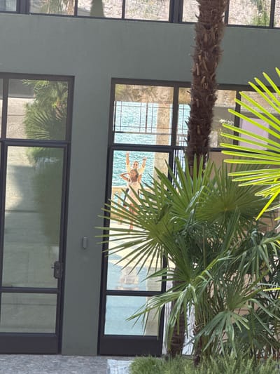 The image, captured in Pognana Lario, Italy, shows a view through large glass windows of a building. Two individuals, a woman and a man, are visible inside, standing in front of a body of water, likely Lake Como, given the location. The woman, wearing a white top and dark bottoms, has her hair pulled back and is making a peace sign with her left hand. The man, wearing a light-colored shirt, has his arms raised, with his right hand also forming a peace sign. They appear to be posing for a photograph. The foreground is occupied by lush green palm fronds, obscuring a portion of the view and the building's exterior. The building's facade is a muted gray.