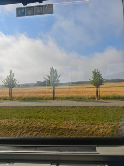 A photograph, taken from inside a vehicle through the windshield, captures a landscape scene in Veselí nad Lužnicí, Czechia. The sky is a mix of blue with scattered white clouds. A rectangular sign with three pictograms—a running figure, a trash can, and a downward arrow—is visible at the top center of the image, adhered to the glass.

The middle ground features a field of golden crops, likely wheat or barley, stretching across the frame. Three young trees, each supported by two stakes, are planted in a line along the edge of the field, bordering a grey asphalt road with white markings. Beyond the field, a hazy line of trees forms the horizon. The foreground shows a grassy verge and the interior of the vehicle, including a dark grey dashboard with a textured surface. The overall impression is one of a rural setting, viewed from a moving vehicle on a clear day.