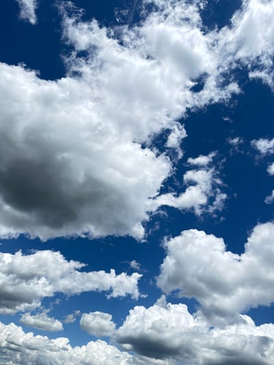 The image displays a clear deep blue sky populated by numerous white and varying shades of grey clouds, predominantly cumulus and stratocumulus formations. The clouds are illuminated from an unseen light source, casting soft shadows within their depths, indicating their three-dimensional structure and varying thickness. A single, small, dark speck, consistent with a bird or insect in flight, is visible against the blue sky in the upper-middle left section. No land, structures, or people are visible within the frame, which captures only the expansive sky over Javorje, Montenegro. The scene suggests fair weather conditions with significant cloud cover.