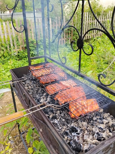 The image captures a summer outdoor scene in Krasnoarmeysk, Russia, focusing on a barbecue in progress. The main subjects are several racks of meat, likely ribs, cooking on a metal grill over glowing coals. The meat is covered in a reddish marinade and appears to be sizzling and smoking. The grill itself is set within a black metal barbecue pit, which rests on a sturdy black metal frame. The scene is surrounded by lush green foliage and a rustic wooden fence in the background, suggesting a backyard or garden setting. Wisps of smoke rise from the barbecue, indicating that the cooking is actively happening. The lighting suggests it is daytime, possibly late afternoon, with diffused light indicating an overcast or partially cloudy sky, contributing to a relaxed and pleasant atmosphere. The overall impression is one of a leisurely summer cookout. There is no visible text in the image.