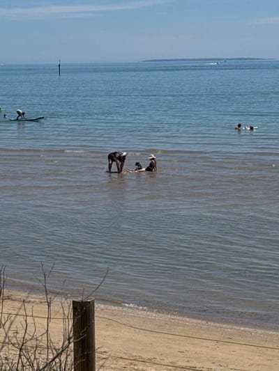 This image captures a bright, serene coastal scene at Frankston, Australia, on a clear day. The foreground features shallow, calm water with gentle ripples, transitioning into a light sandy beach on the right side of the frame.

In the mid-ground, two individuals are positioned in the knee-deep water, both bent over and seemingly engrossed in an activity, possibly searching or examining something in the water. One person wears a dark swimsuit, while the other has a light hat and dark clothing. Further out in the water, to the left, two more people are visible; one appears to be standing, and the other is either kneeling or sitting on a small board, possibly a paddleboard or surfboard. Another solitary individual on a watercraft can be seen even further in the distance, near the horizon.

The water reflects the bright sky, indicating good weather conditions. On the far right, a segment of a sandy beach is visible. In the bottom right corner, a wooden post, possibly part of a fence or structure, stands partially obscured by dry, bare branches. The distant horizon shows a faint landmass under a clear sky. The overall scene suggests a leisurely day spent enjoying the calm bay waters. There is no visible text in the image.