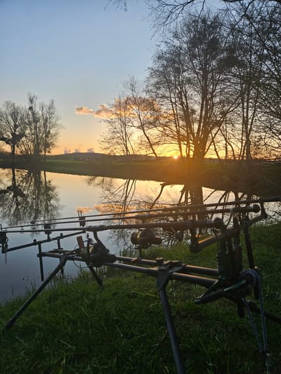 The image is a landscape oriented, outdoor shot taken at sunset or sunrise, likely in Gavisse, France. The foreground features a fishing rod stand with multiple rods and reels positioned on the right side of the frame. The backdrop displays a field bisected by a tree-lined path, with the sun situated along this path, creating a luminous effect. The sky ranges from a light blue at the bottom to a warm orange/yellow at the top where it meets the field, accompanied by a few wispy clouds. The scene gives a sense of tranquility, indicative of a person possibly fishing at dusk or dawn.