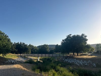 The image displays a serene outdoor landscape, characteristic of a park or natural area in Agoura Hills, United States of America. A pedestrian bridge, featuring a wooden deck and dark metal railings, serves as a central subject, spanning across what appears to be a dry creek bed or seasonal stream. The banks of this waterway are fortified with numerous large, light-colored rocks.
The scene is rich with lush, mature trees, possibly oaks, boasting dense green canopies. Several prominent trees frame the foreground on both the left and right, while more abundant foliage and verdant hills rise in the midground and background. The sky overhead is a clear, bright blue, with a noticeable brightness gradient on the right side, indicating the sun is low on the horizon. This lighting suggests either early morning or late afternoon, as warm sunlight illuminates patches of the dry, golden-brown grass and the upper parts of the trees, creating areas of light and shadow.
A gravel path is visible in the lower-left corner, hinting at walking trails. The overall setting evokes a sense of peaceful natural beauty. No people are visible within the frame, and there is no discernible text present in the image.