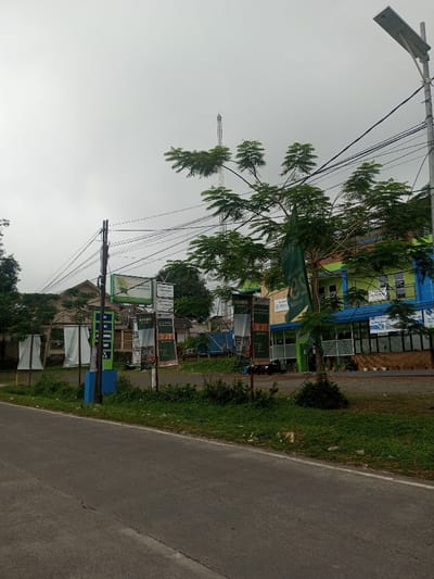 A roadside view showcases an asphalt road with a grassy verge, beyond which stands a building with blue and green accents. Advertisements on poles line the roadside. A tree with dense foliage stands between the viewer and the building. Power lines crisscross the sky, and a tall telecommunications tower is visible in the distance. A street light pole punctuates the right edge of the frame. The sky is overcast.