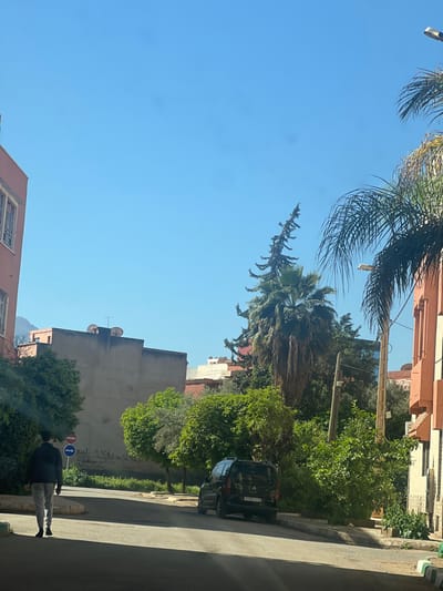 This image captures a residential street scene in Beni Mellal, Morocco, under a clear, bright blue sky. A paved, slightly curving road slopes gently downwards from the viewer's perspective. On the left, a male individual with dark hair, wearing a dark jacket, light gray pants, and dark shoes, walks away from the viewer along the left side of the road. Further left, a multi-story building with a light peach facade and barred windows is visible.
In the center-background, a flat-roofed, light-colored concrete or stucco building displays graffiti in Arabic script on its side and two satellite dishes on its roof. Behind it, distant mountains are visible. To the right of the walking individual, a street sign features a red-bordered white circle and a blue mandatory right-turn arrow, with additional Arabic text.
Lining the street and interspersed among the buildings are numerous green trees and bushes. A prominent, tall palm tree with a thick trunk and drooping fronds stands to the right of the center, next to a tall, slender coniferous tree. A black compact van is parked on the right side of the road, facing away, with its rear license plate partially visible. To the far right, part of an orange-toned building with window details and a street light fixture are visible, along with a reflective mirror. Strong shadows indicate direct sunlight.
