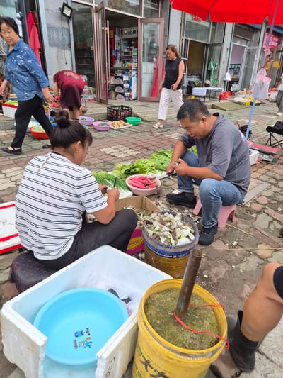 The image depicts an outdoor market scene in Hunchun, China. In the foreground, a man and a woman are seated on the ground. The man, wearing a gray t-shirt and jeans, is peeling garlic into a blue plastic bucket filled with garlic peels and stems. The woman, in a black and white striped shirt and black pants, is preparing green onions. Nearby, a blue plastic basin with cartoon dogs is placed in a white styrofoam container, and a yellow bucket filled with dirt and a metal pole is also visible. In the background, a woman in a blue shirt and black pants walks past a stall with red fabric. Another person in a red dress is bending down, possibly also shopping or working at the market. Various vegetables, including radishes and lettuce, are displayed on the ground and on tables. The market appears to be situated on a paved area with brick-like stones. The overall impression is of a bustling local market with people engaged in various activities related to preparing and selling produce.