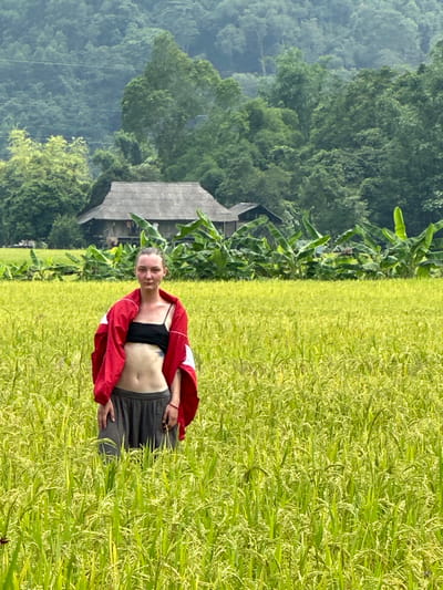 An upright outdoor portrait captures a young woman standing confidently in a vibrant green rice paddy in Ngọc Đường Commune, Vietnam. She is positioned slightly to the right of the center, gazing directly at the camera with a serene and pleasant expression. Her light hair is pulled back, and she wears a black sports bra or crop top, dark grey shorts, and a red and white jacket draped over her shoulders, revealing her midriff. Her hands are gently placed near her hips.
The foreground is dominated by the lush green rice field, with individual stalks bearing yellow-green grains, suggesting a mature crop ready for harvest. The plants reach up to the woman's waist. In the midground, behind the field, a rustic house with a dark, sloped roof is partially visible, nestled among dense tropical vegetation, including large, broad-leafed plants resembling banana trees. The background features steep, densely forested mountains, which appear hazy and blue-green, indicating distance and the atmospheric conditions of a tropical or subtropical environment.
The bright, even lighting suggests it is daytime, likely late morning or early afternoon, under clear skies. The overall scene conveys a sense of natural beauty and tranquility in a rural setting. There is no visible text in the image.