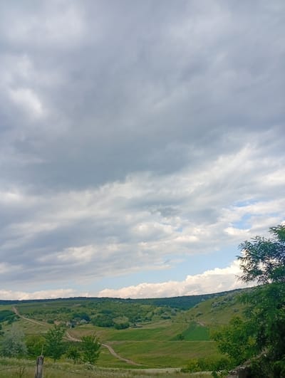 This is a landscape photograph taken in Buțeni, Moldova. The image depicts a rolling green valley under a cloudy sky. A dirt road winds through the valley, separating fields and patches of trees. In the foreground, a rough-hewn stone structure is visible on the right side, partially obscured by dense green foliage. The left side of the foreground features a weathered fence post and barbed wire, hinting at the edge of a field or pasture. The clouds are heavy and diffused, suggesting overcast or possibly approaching rain conditions. The overall scene conveys a sense of rural tranquility and natural beauty.